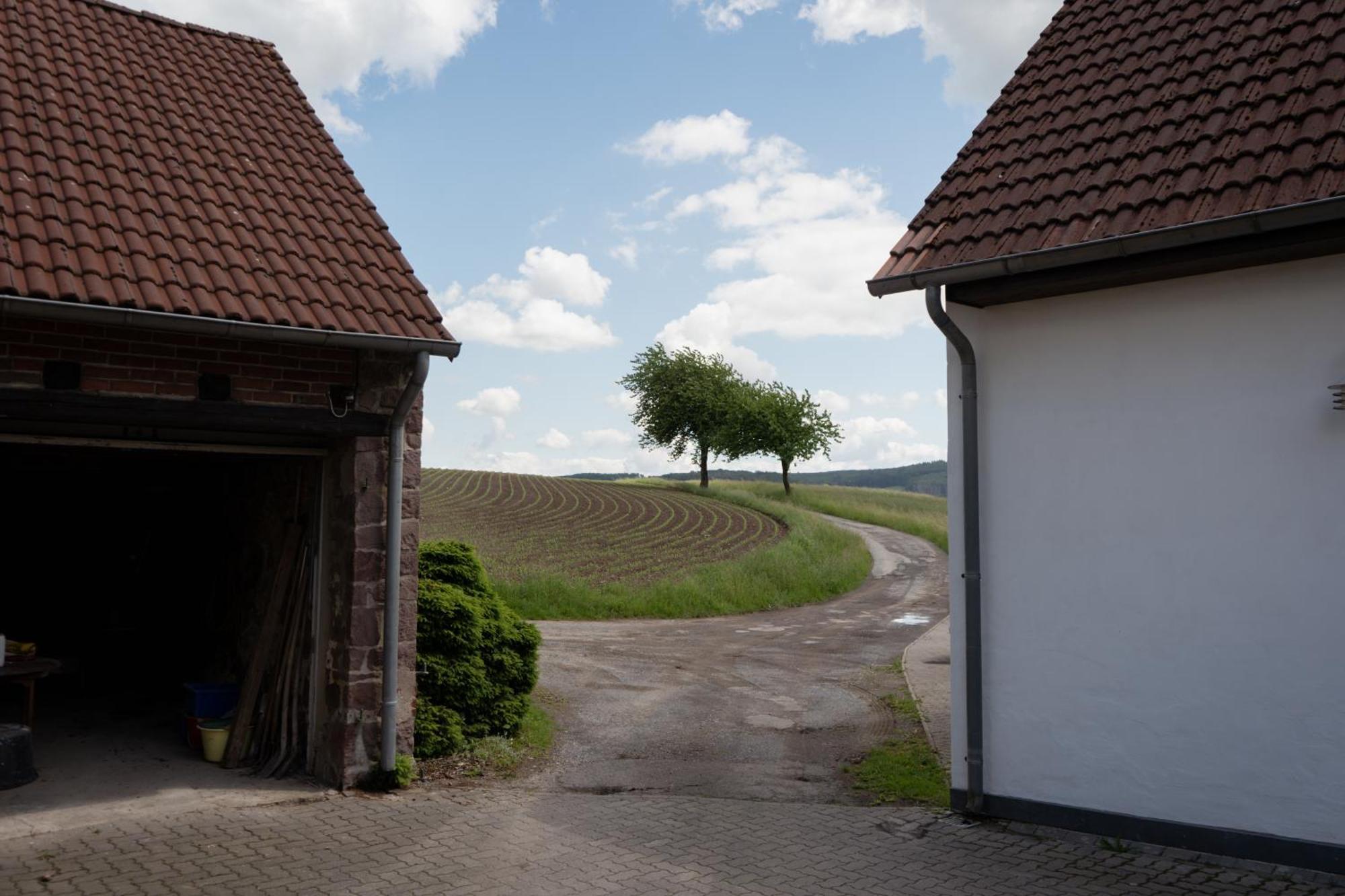 Idyllische Ferienwohnung Im Kalletal Bagian luar foto