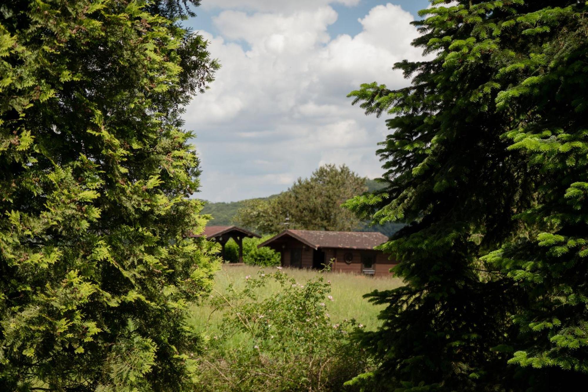 Idyllische Ferienwohnung Im Kalletal Bagian luar foto