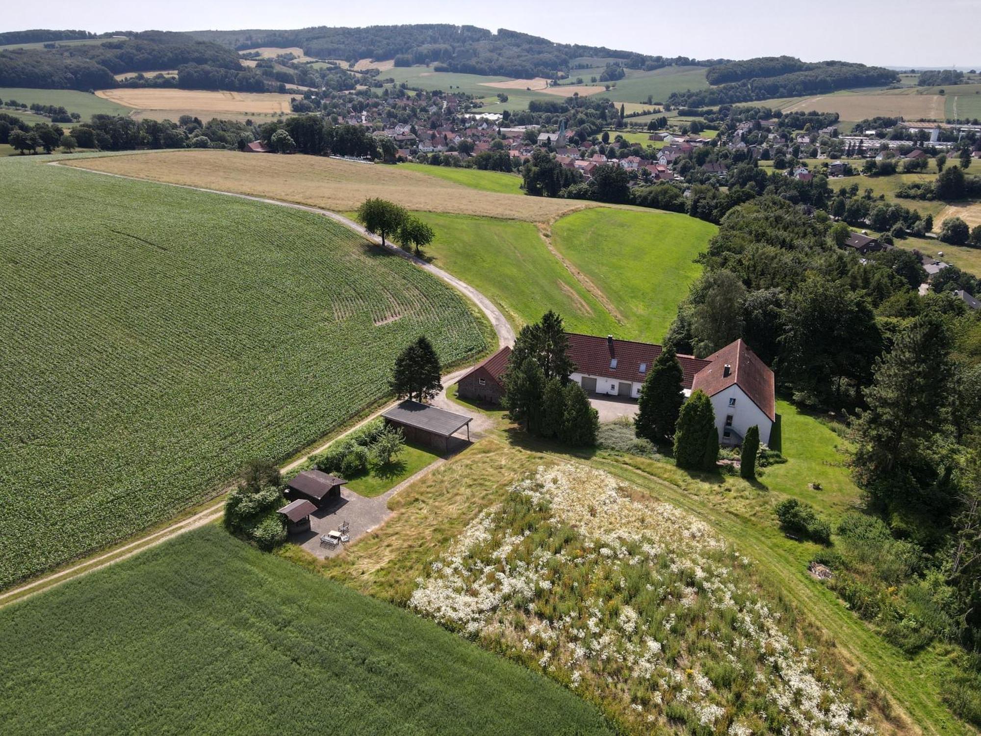 Idyllische Ferienwohnung Im Kalletal Bagian luar foto