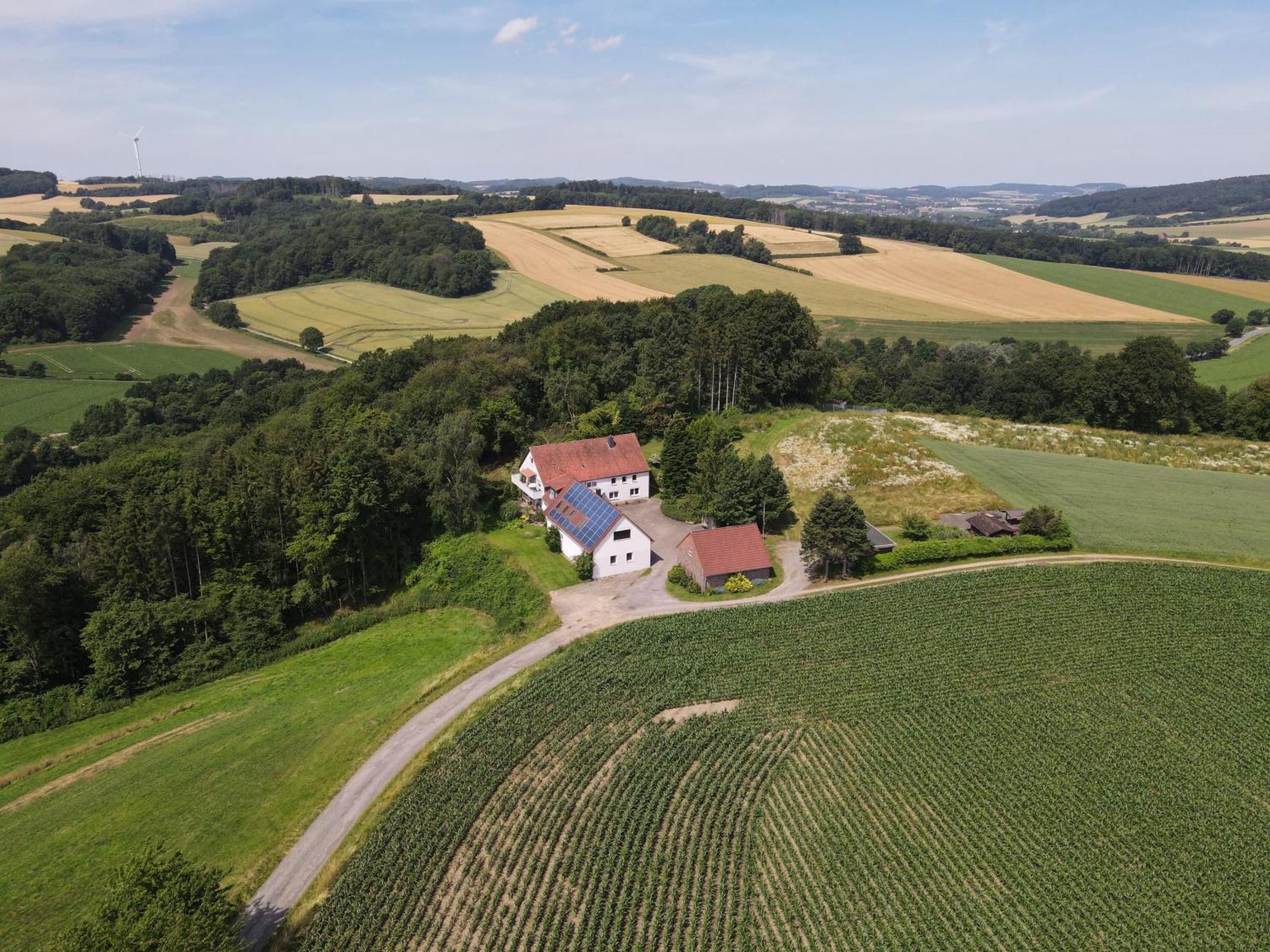 Idyllische Ferienwohnung Im Kalletal Bagian luar foto